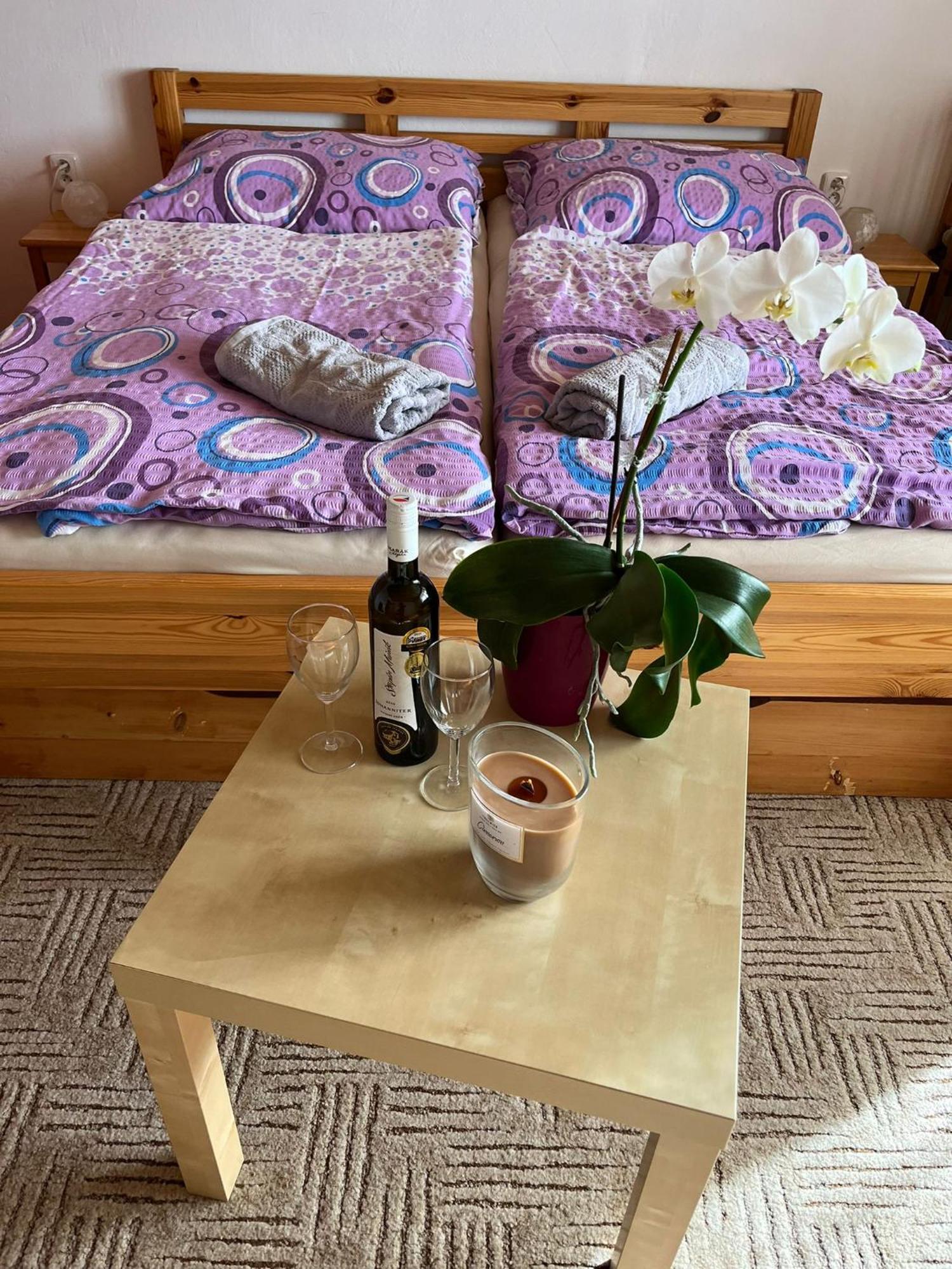 Apartman Za Kostelem Zvole  객실 사진
